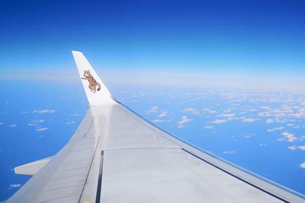 南ぬ島石垣空港